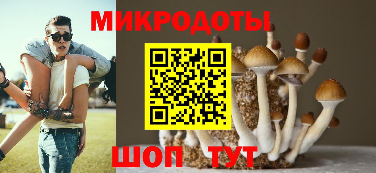 Буйнакск  хочу   Вход с VPN  Псилоцибиновые грибы мухоморы 