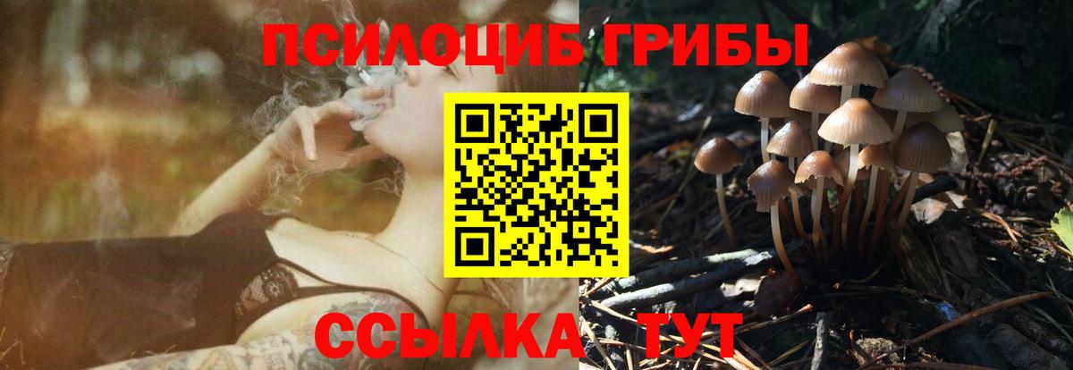 Галлюциногенные грибы мухоморы Буйнакск